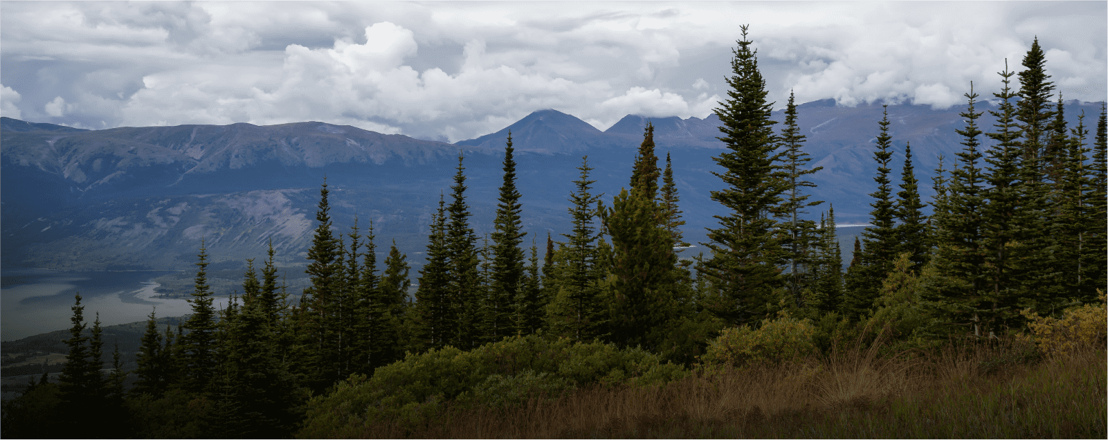 À Propos de Nous | Mapping The Way