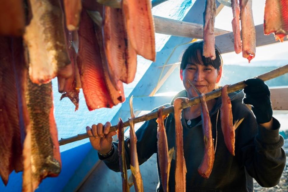 Persis Hager prepares fish at the Na-cho Nyak Dun fish camp at Fraser Falls on the Stewart River. This is an important place for citizens to learn about traditional ways of survival. (Photo: Frits Meyst)