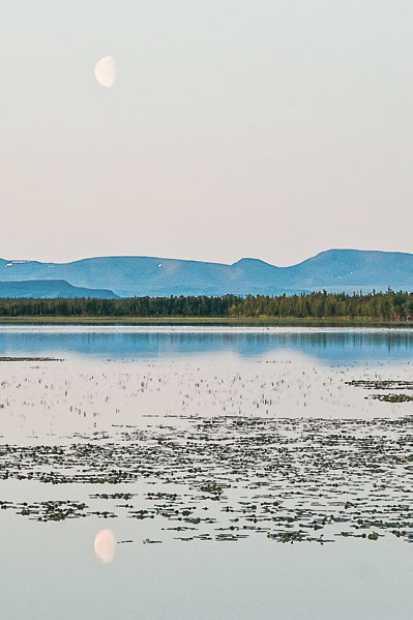 View of Whitefish Lake in the Ch’ihilii Chìk Habitat Protection Area with lake in foreground and mountains in background with pink sunrise