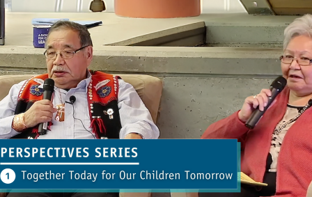 Graphic for the Perspective Series videos