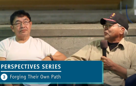 Graphic for the Perspective Series videos