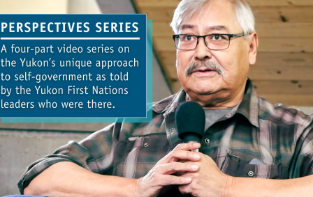 Graphic for the Perspective Series videos