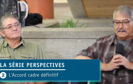 Graphic for the Perspective Series videos