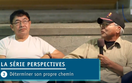 Graphic for the Perspective Series videos