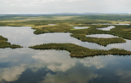 Overhead photo of Berry Creek showing small islands of land in the water with cloud reflecting off the surface of the water