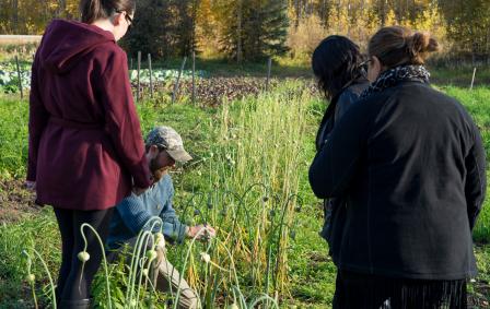 Man wearing ball cap and blue shirt kneeling among onions showing three people what grows on farm