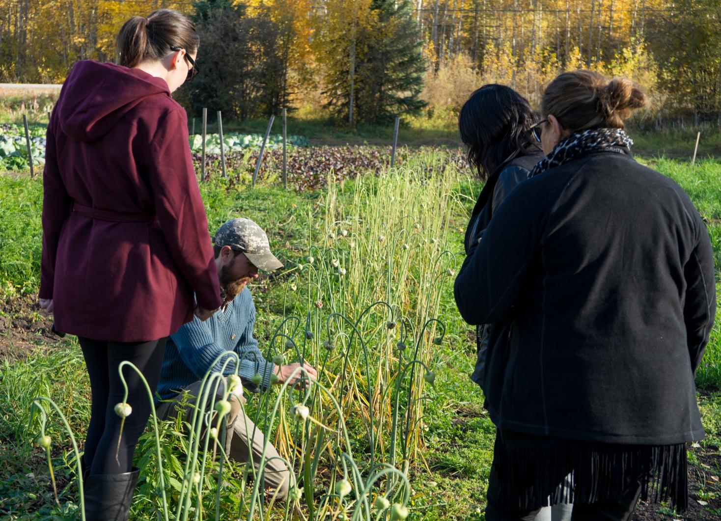 Homme portant casquette et chemise bleu à genoux parmi les onions qui discute avec trois personnes ce que la ferme cultive.
