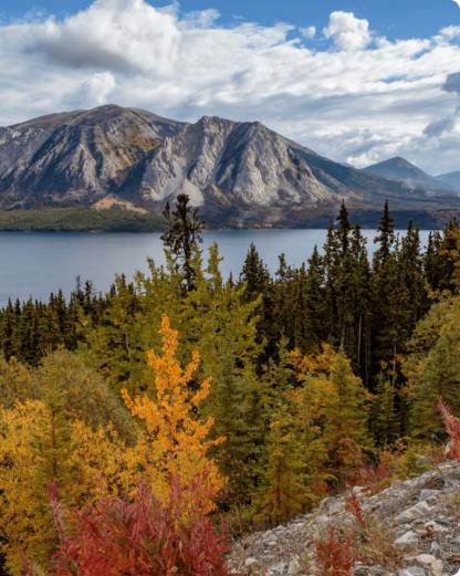 the Yukon's governance landscape